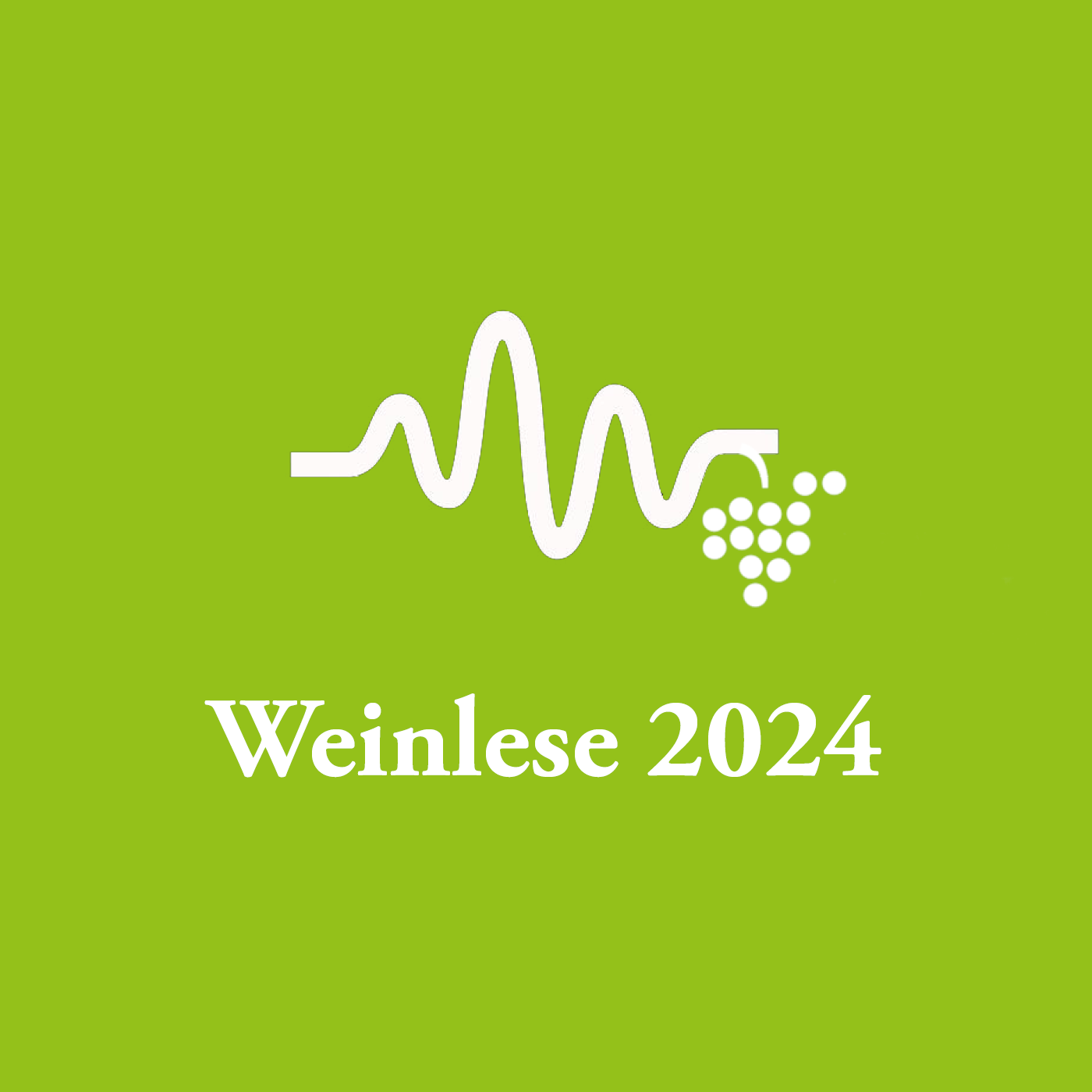 Weinlese 2024