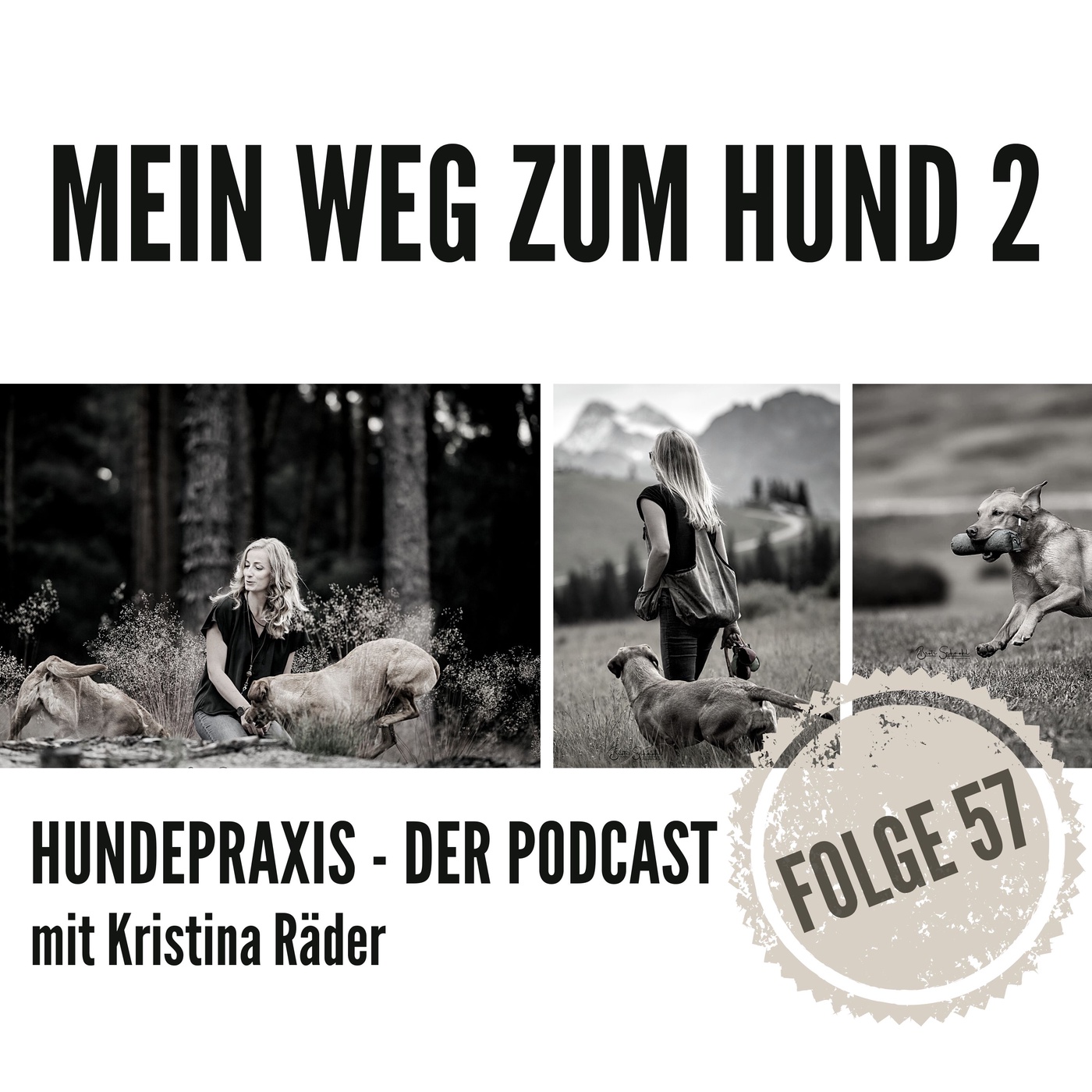 Mein Weg zum Hund - Teil 2