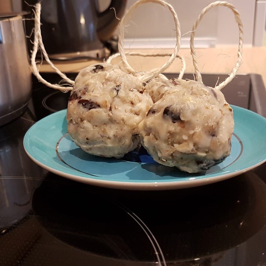 Vogelfutter selbstgemacht!