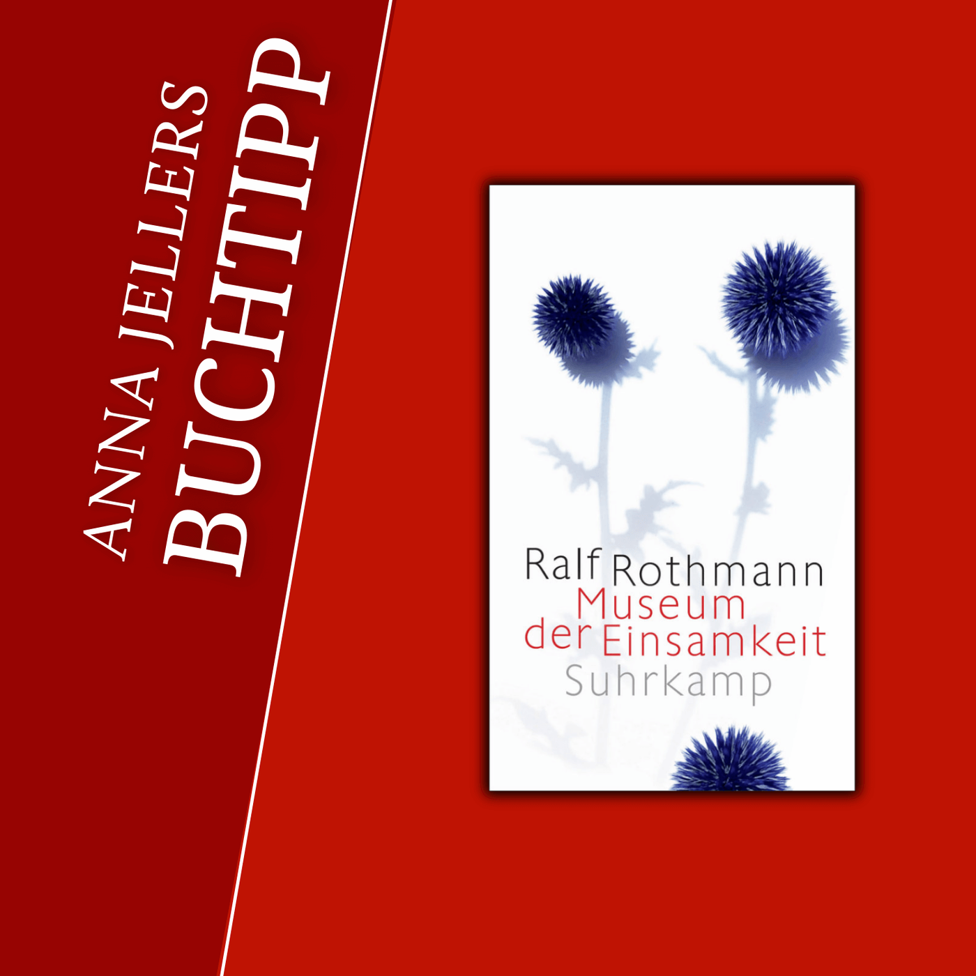 Anna Jellers Buchtipp | Ralf Rothmann: Museum der Einsamkeit