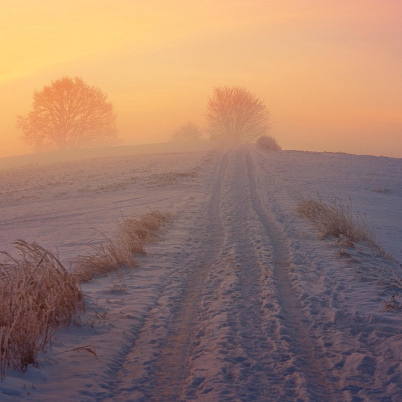 Adventkalender #17 Sabine Pleschberger