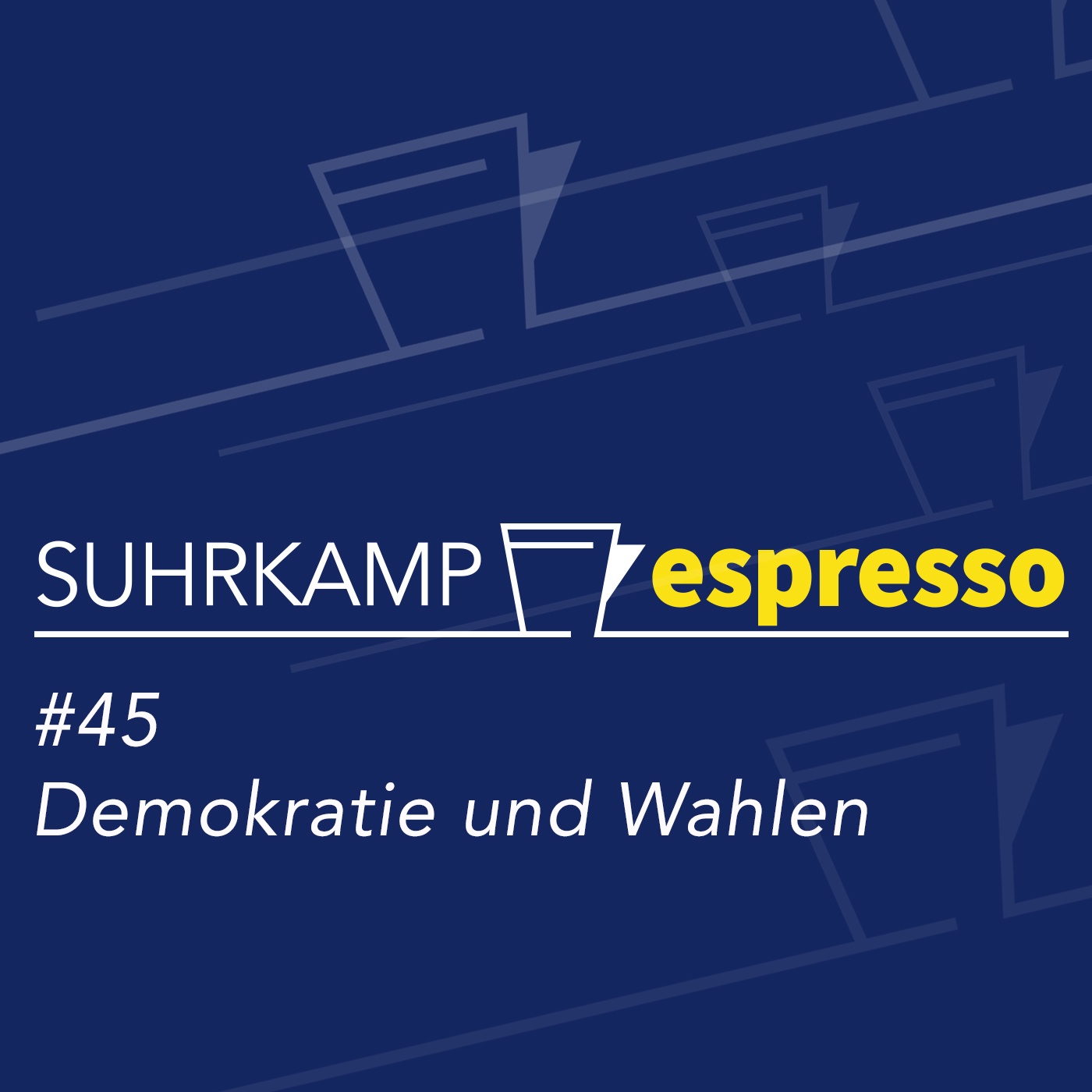 #45 Demokratie und Wahlen