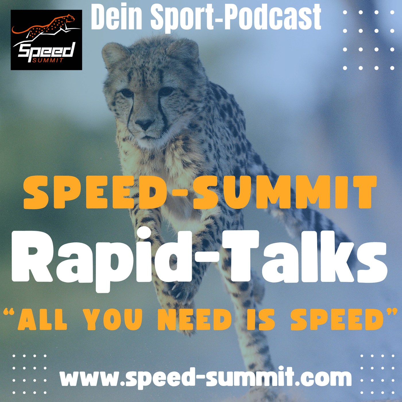 Rapid-Talks 