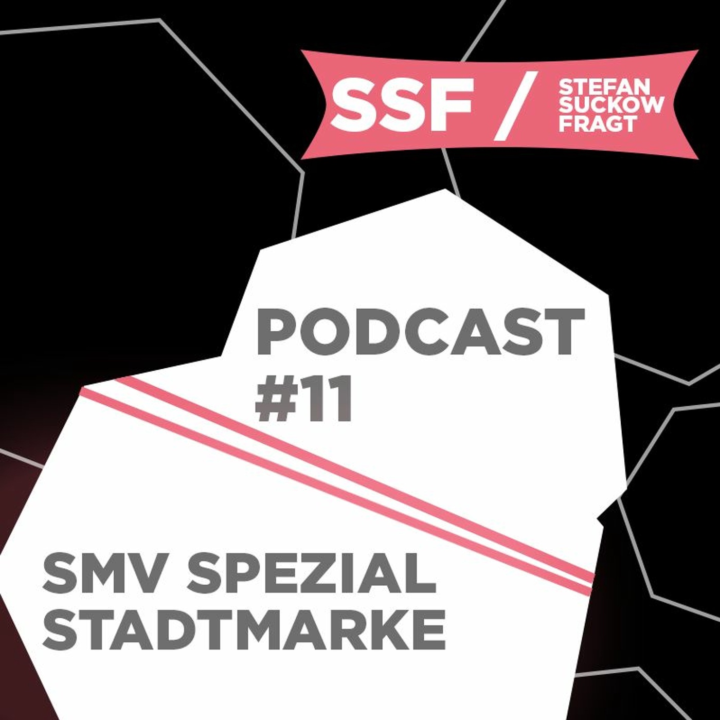 Stefan Suckow fragt E11 SMV - Spezial Thema Stadtmarke