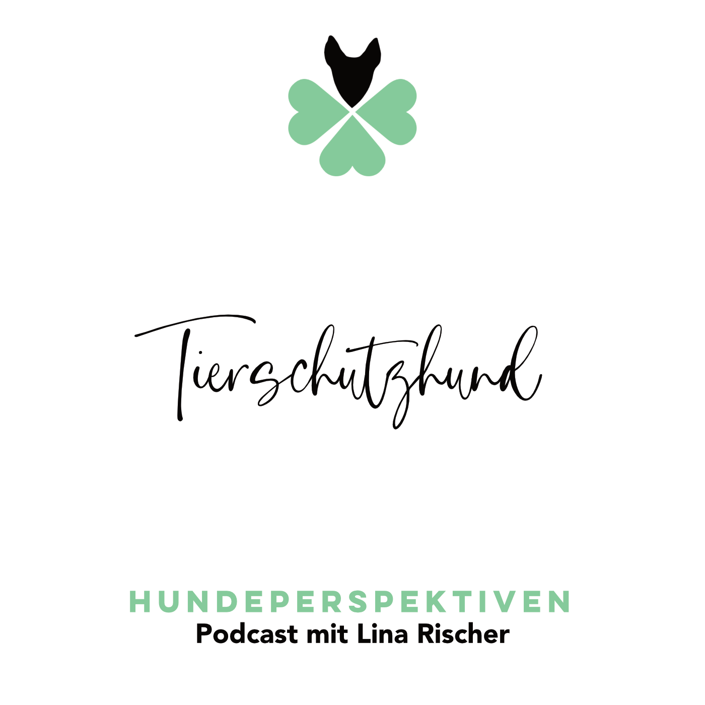 #019 | Tierschutzhund – bin ich persönlich bereit?