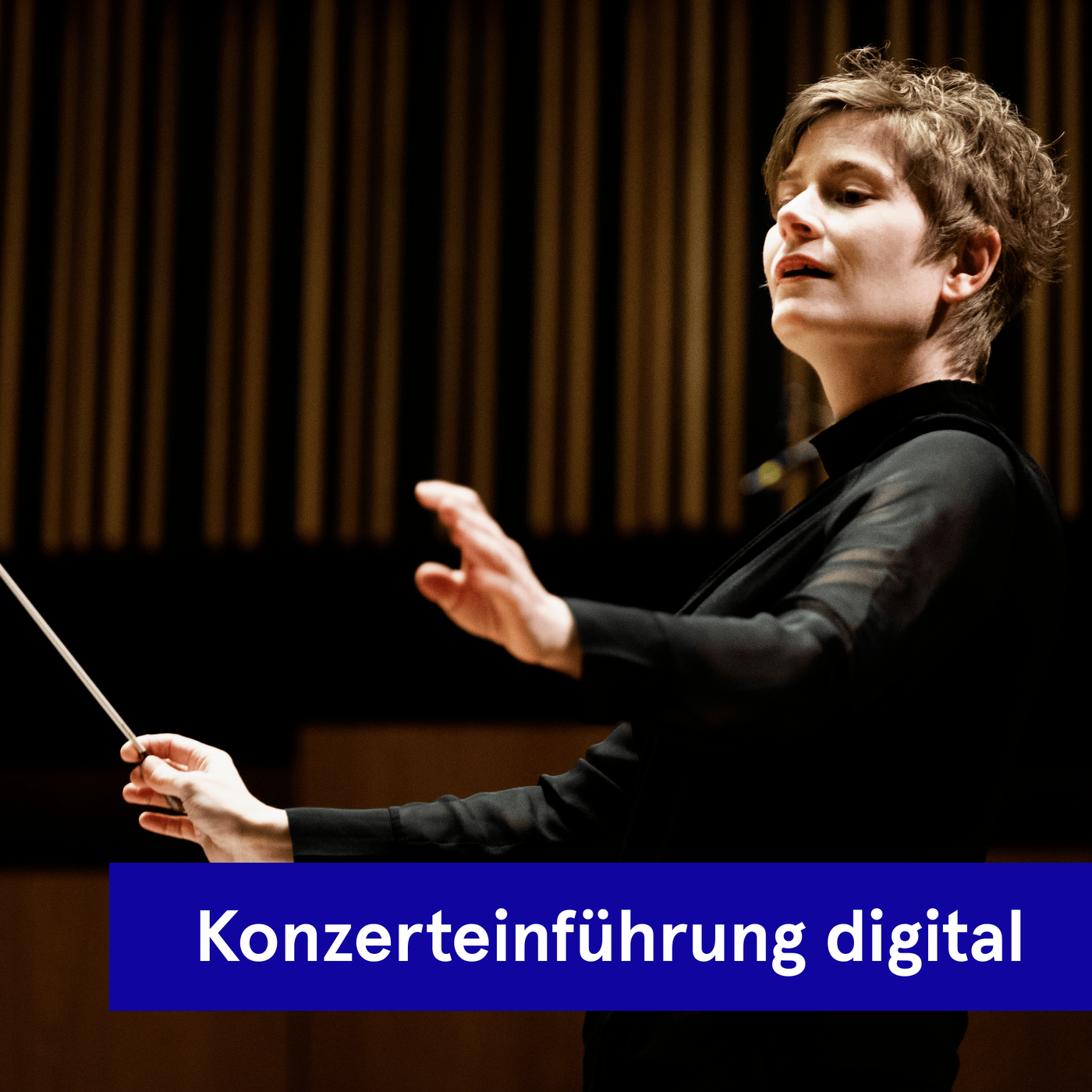 Digitale Konzereinführung | Symphonie fantastique