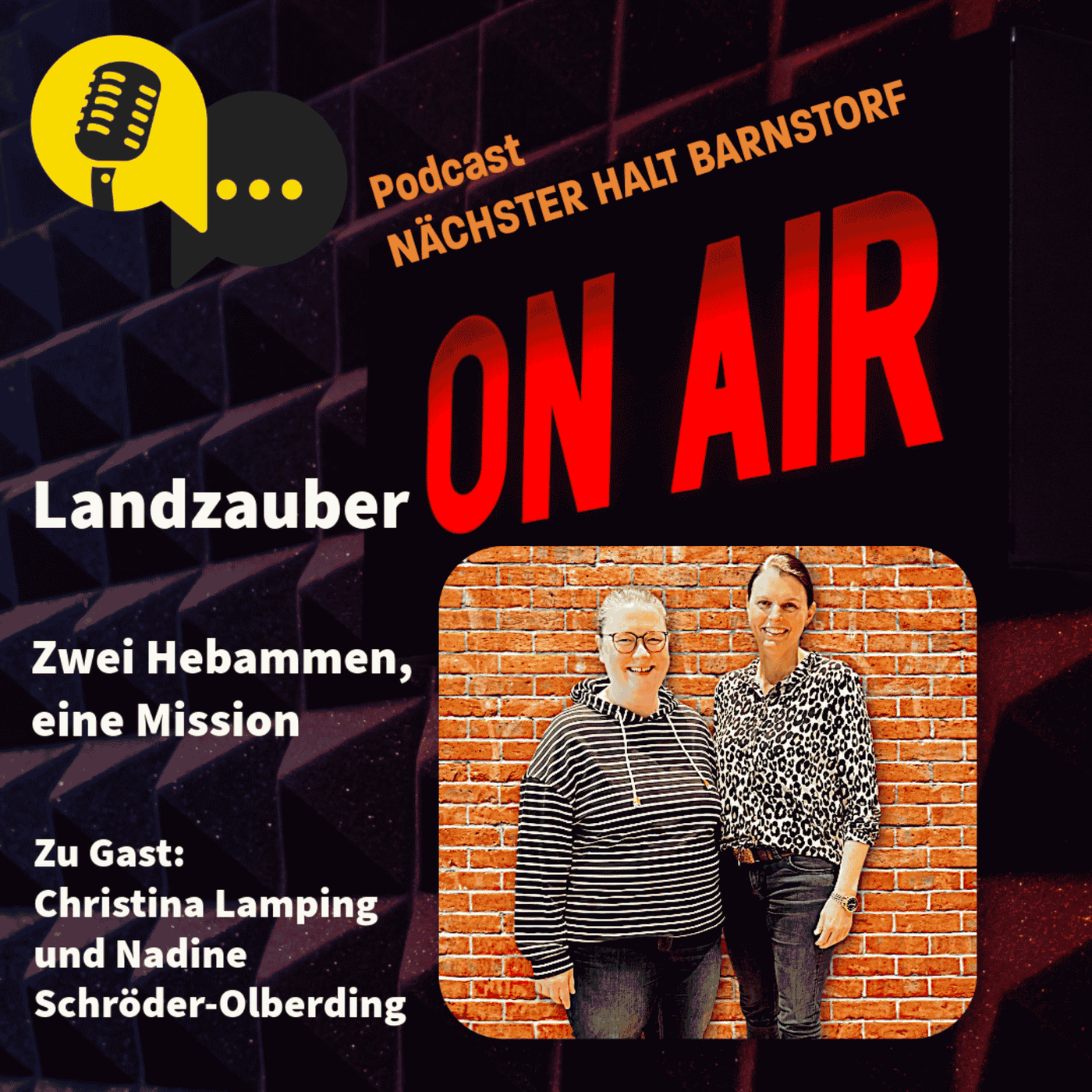 Folge 103: Landzauber – Zwei Hebammen, eine Mission