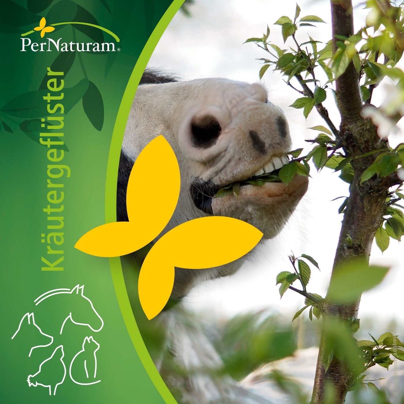 Bäume & Hecken für Pferde