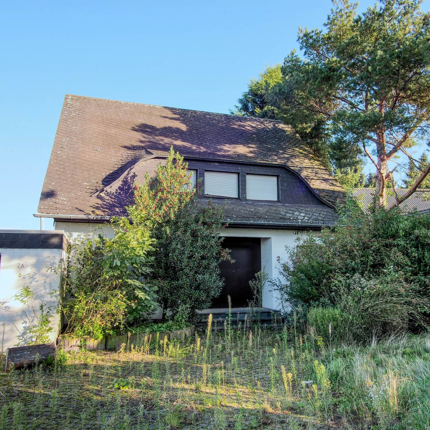 Y-154: Auszug aus dem Fragebogen 