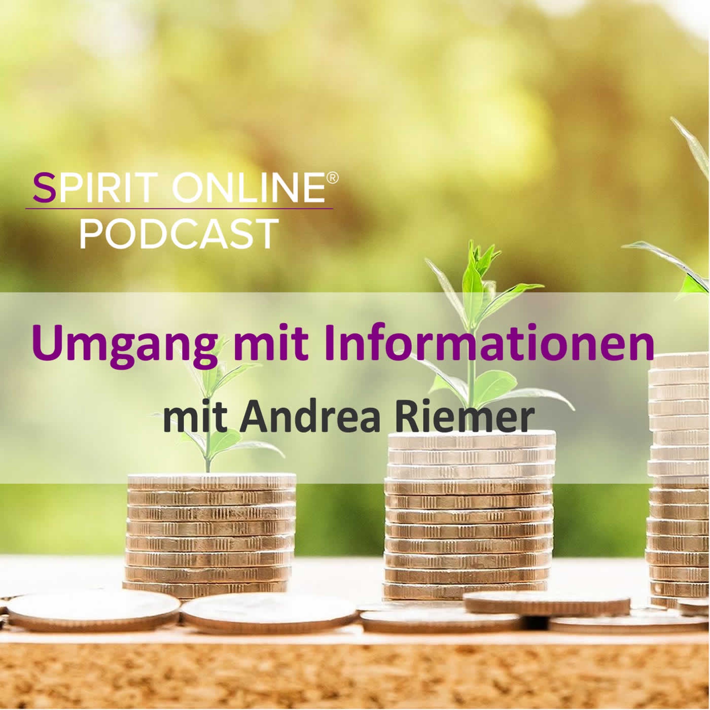 Information  -  Wie damit umgehen im Lebensalltag? mit Andrea Riemer