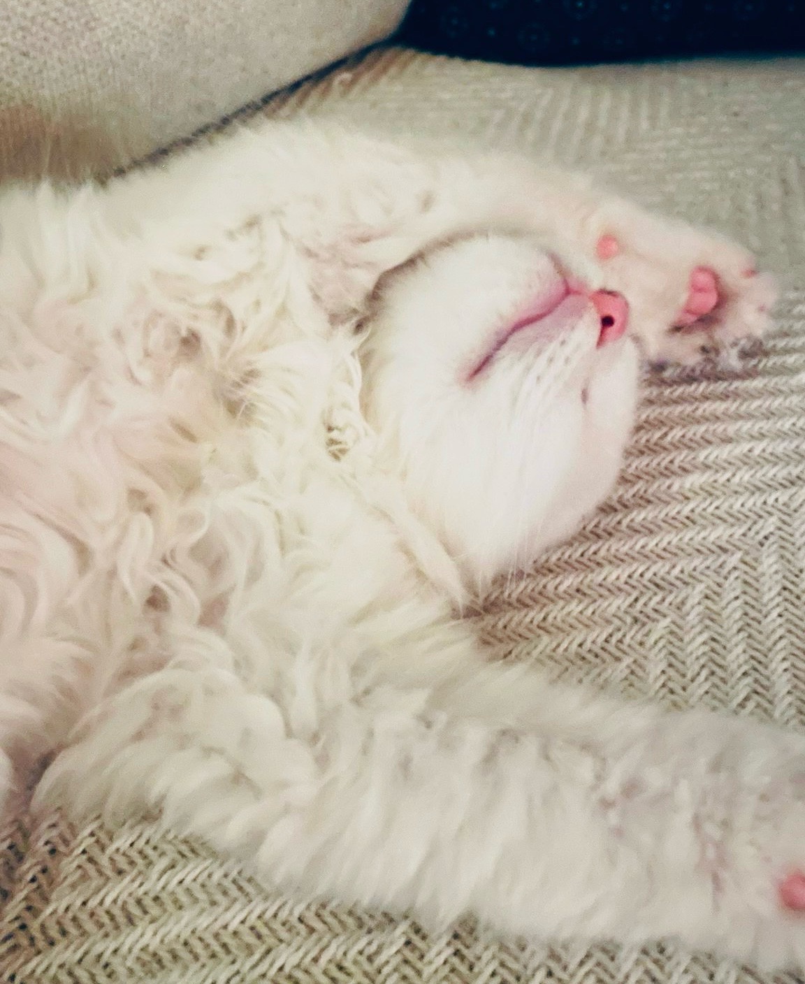 Mitgefühlsmüdigkeit