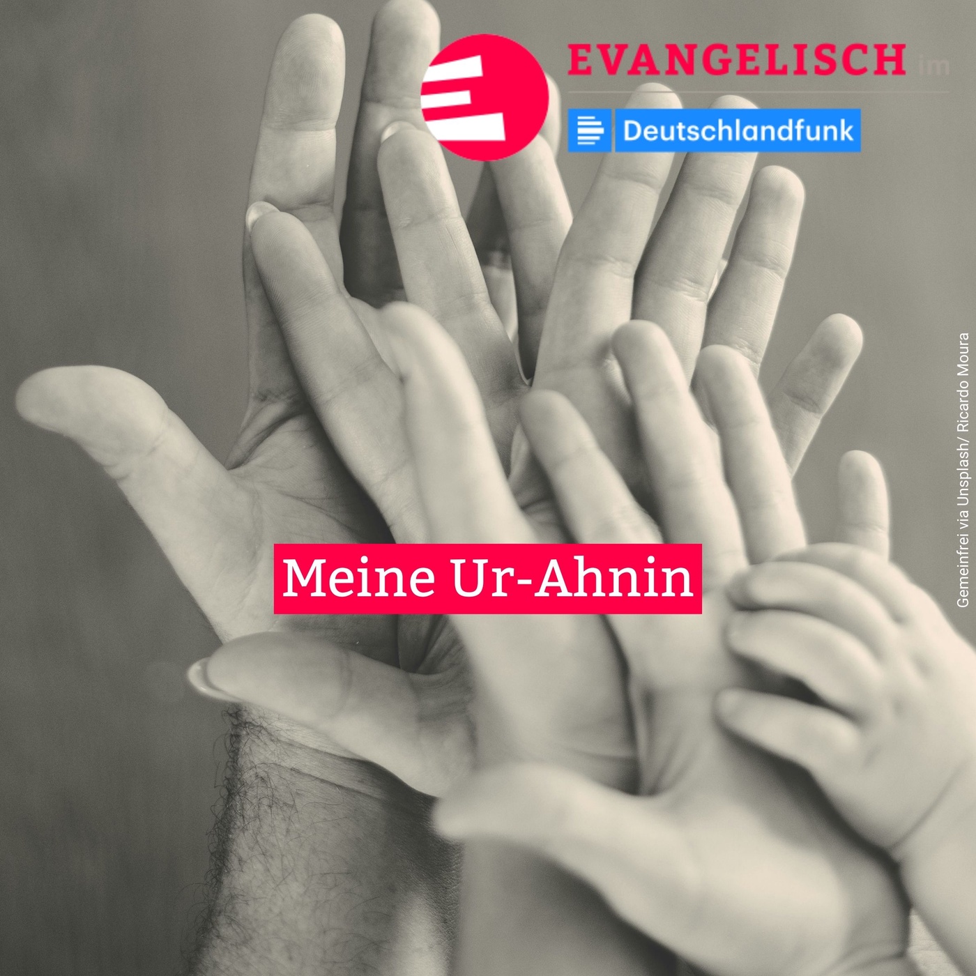 Meine Ur-Ahnin
