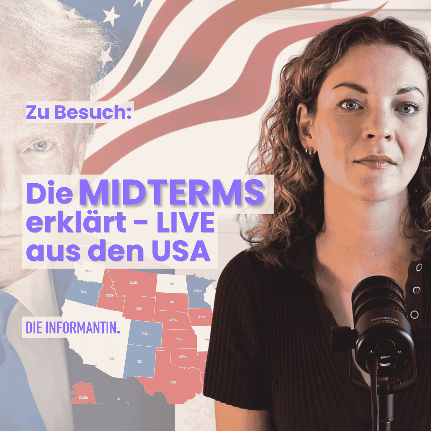 Zu Besuch: Die Midterms erklärt - LIVE aus den USA