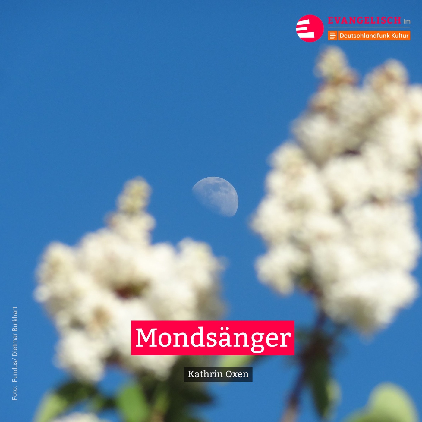 Mondsänger
