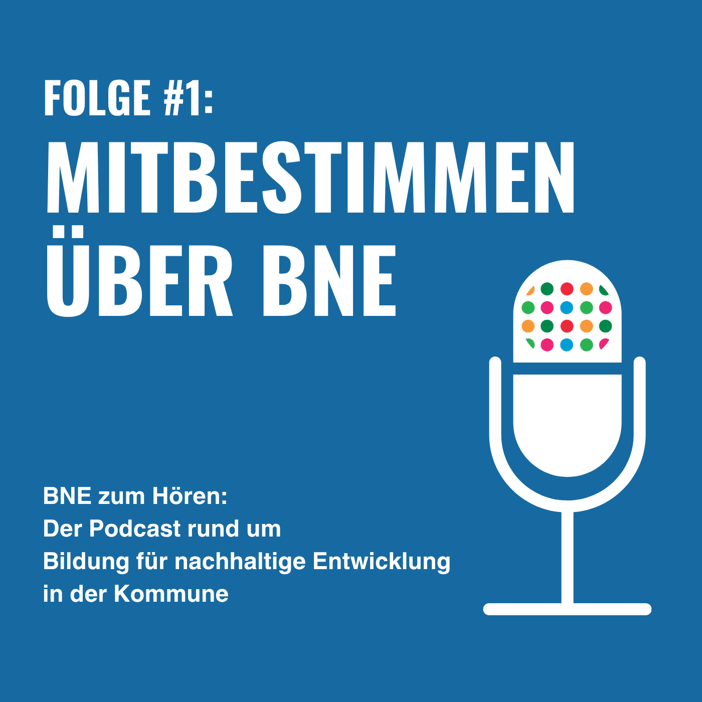 Mitbestimmen über BNE