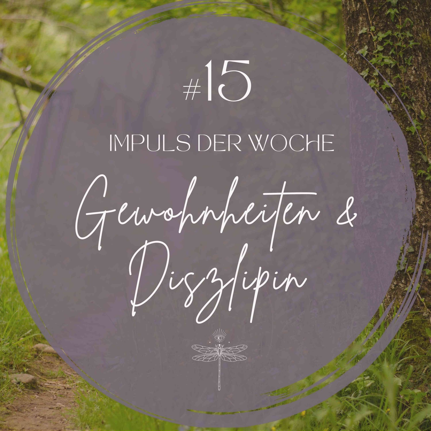 #15 IMPULS DER WOCHE - Gewohnheiten & Diszlipin