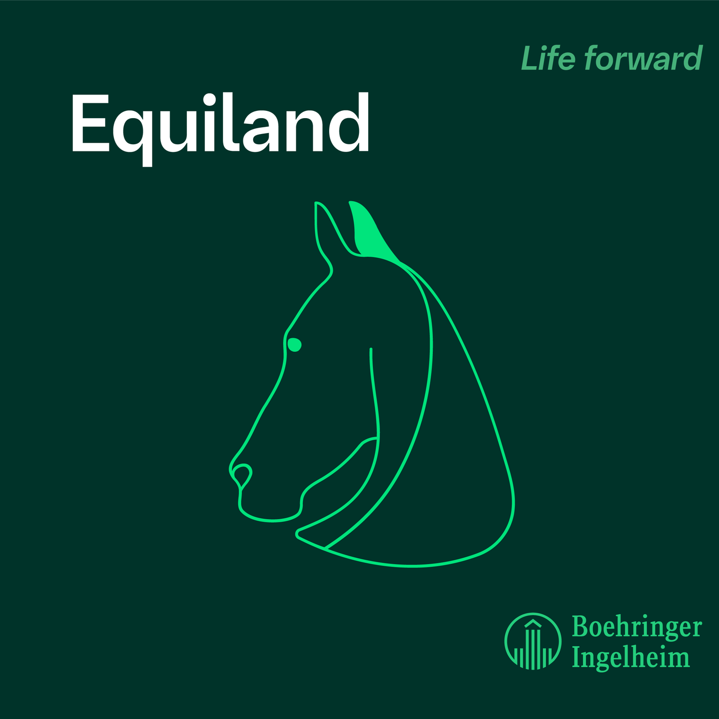 Laminitis con Elisa Díez