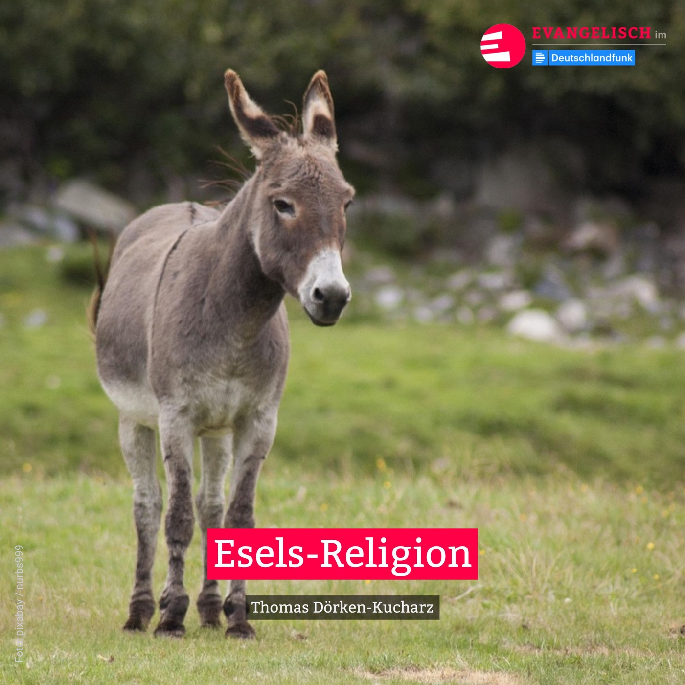 Esels-Religion