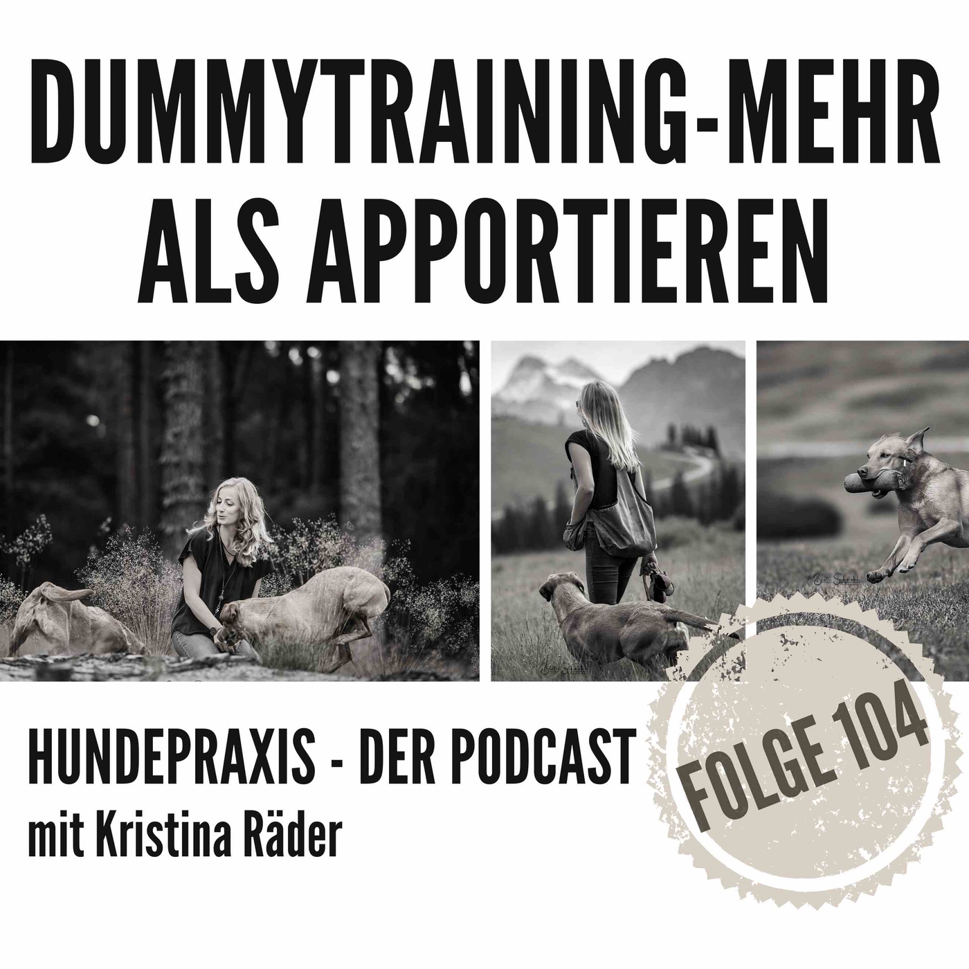 Dummytraining - mehr als Apportieren!