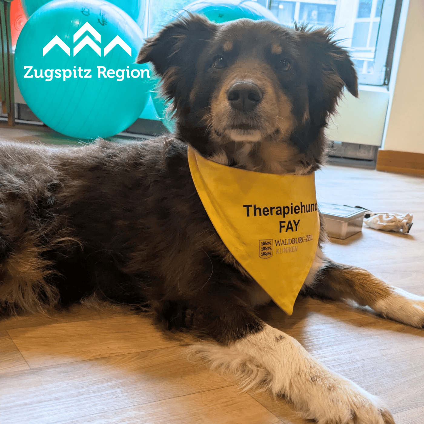 Gib dem Schmerz keine Chance!