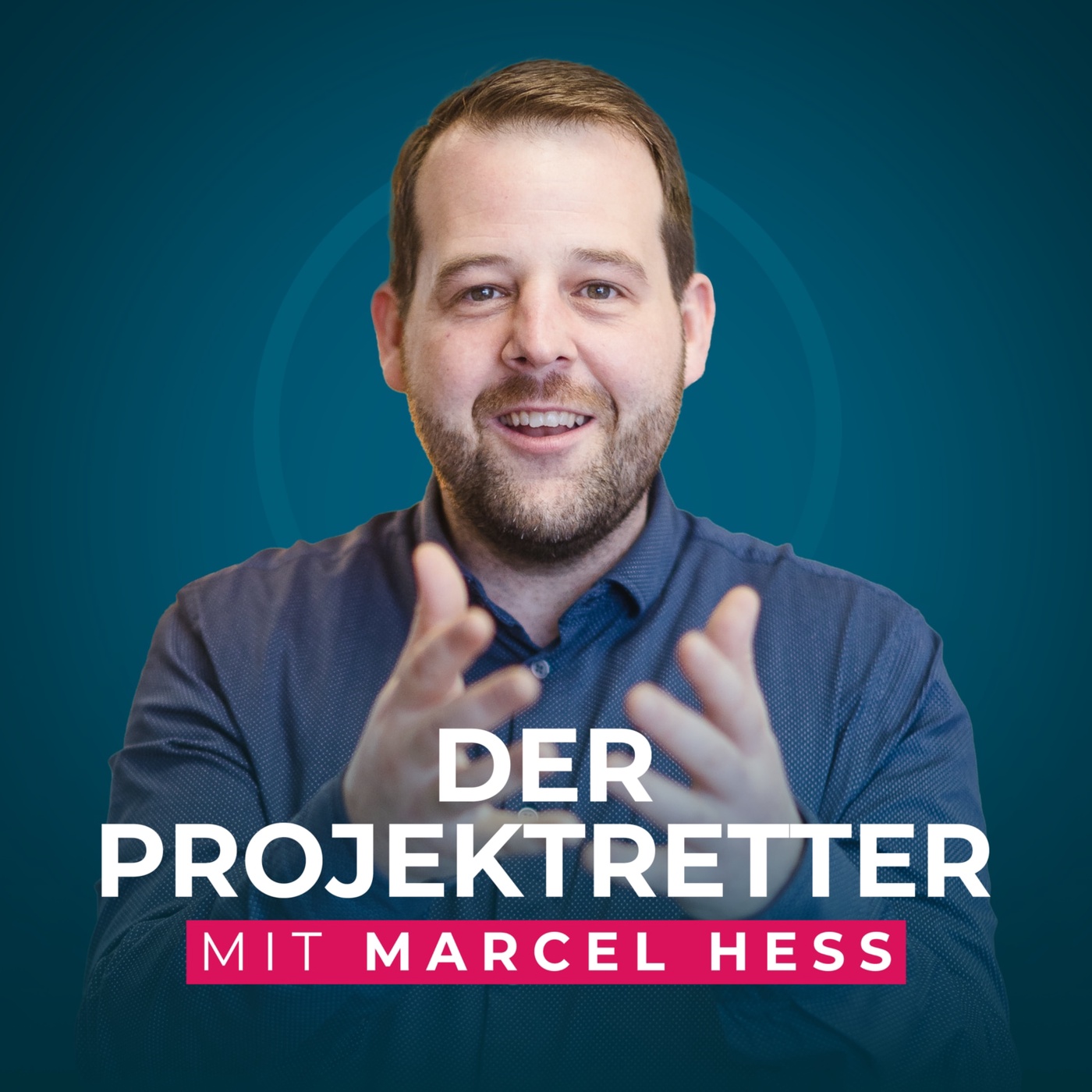 Der Projektretter