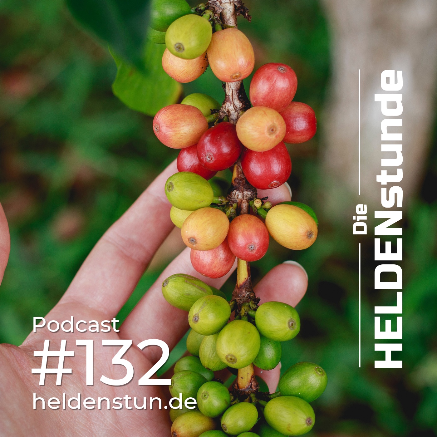 HS 132 | Kaffee - gesund oder ungesund?