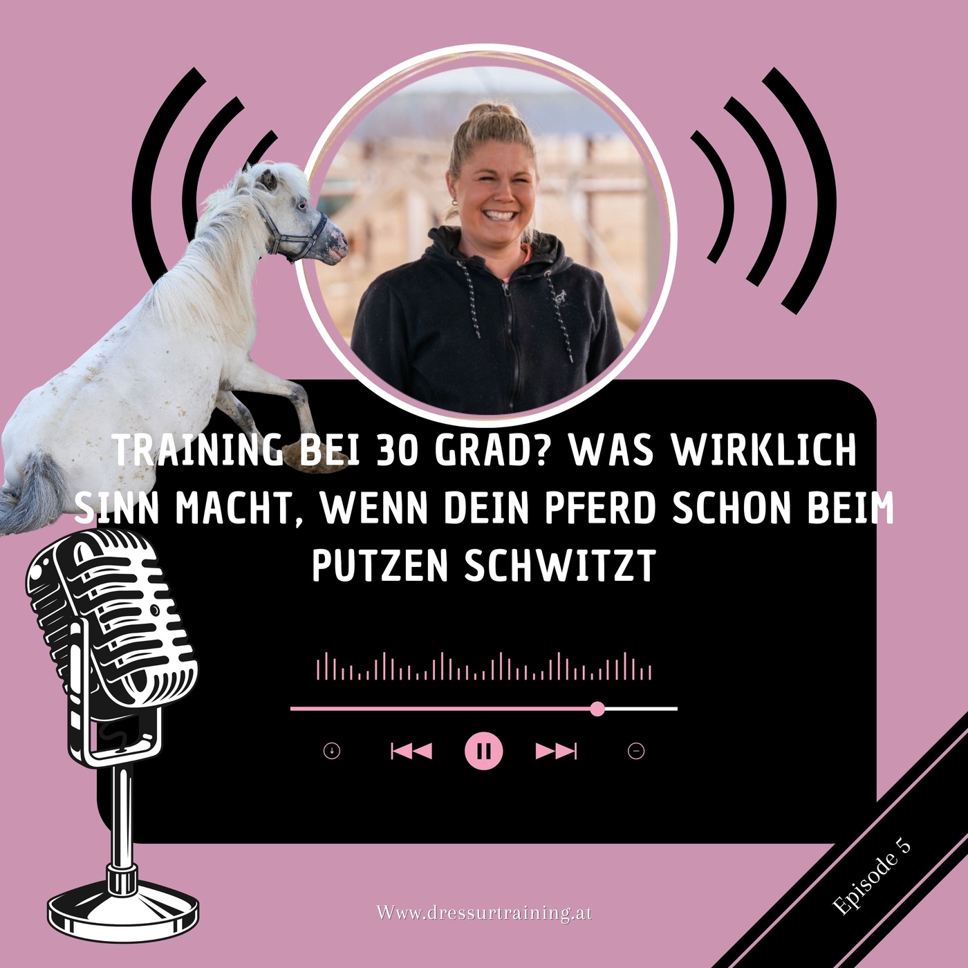 Training bei 30 Grad? was wirklich Sinn macht, wenn dein Pferd schon beim Putzen schwitzt