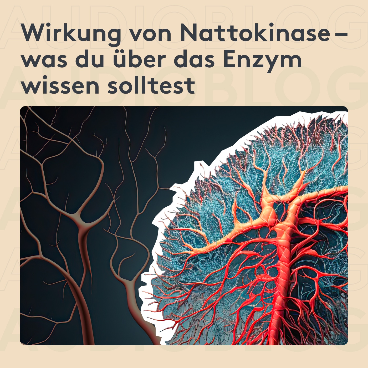 Wirkung von Nattokinase: Was du über das Enzym wissen solltest