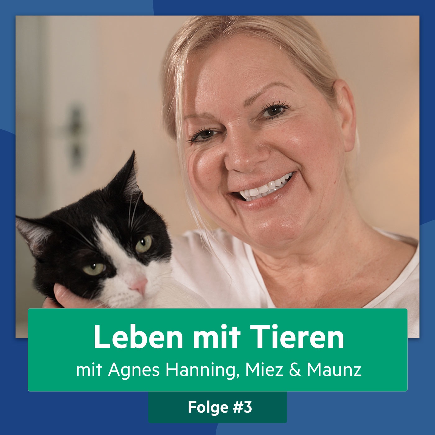 #3 Professionelles Katzensitting mit Agnes Hanning von Miez & Maunz