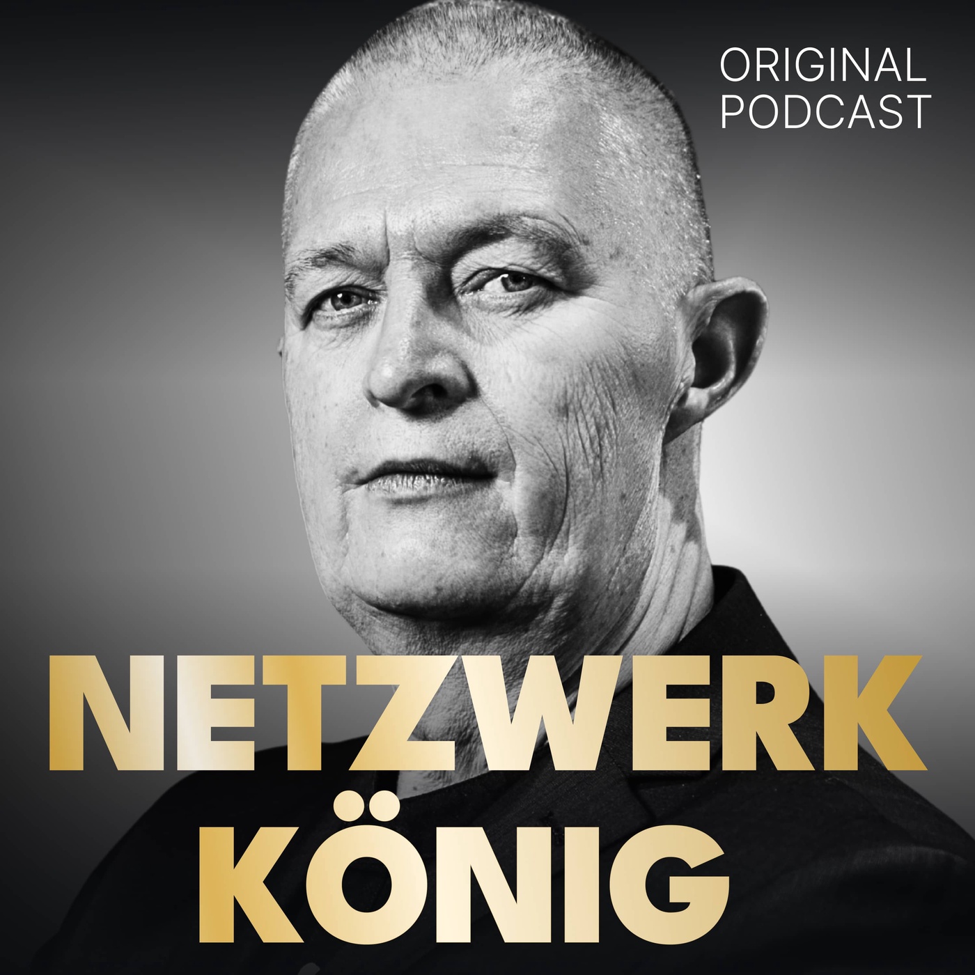 Der Netzwerkkönig by Joschi Haunsperger