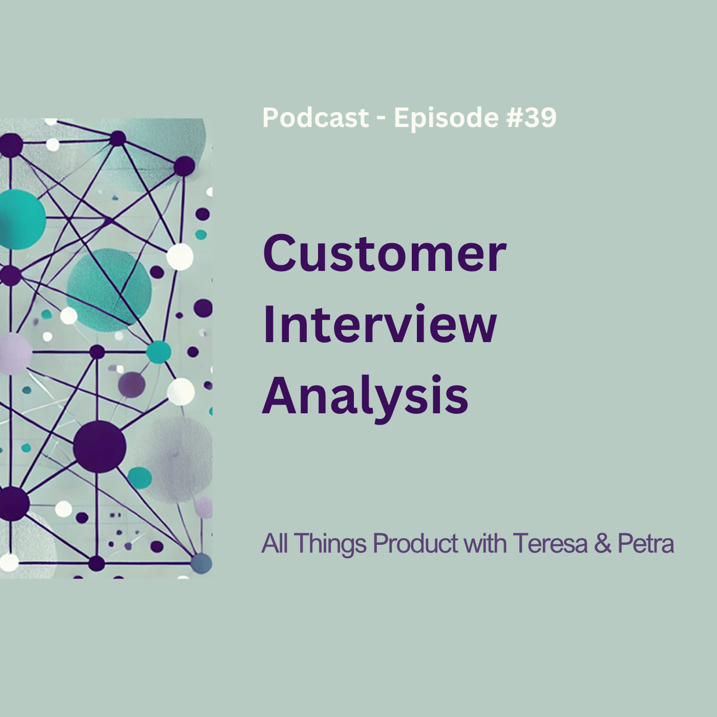 Customer Interview Analysis
