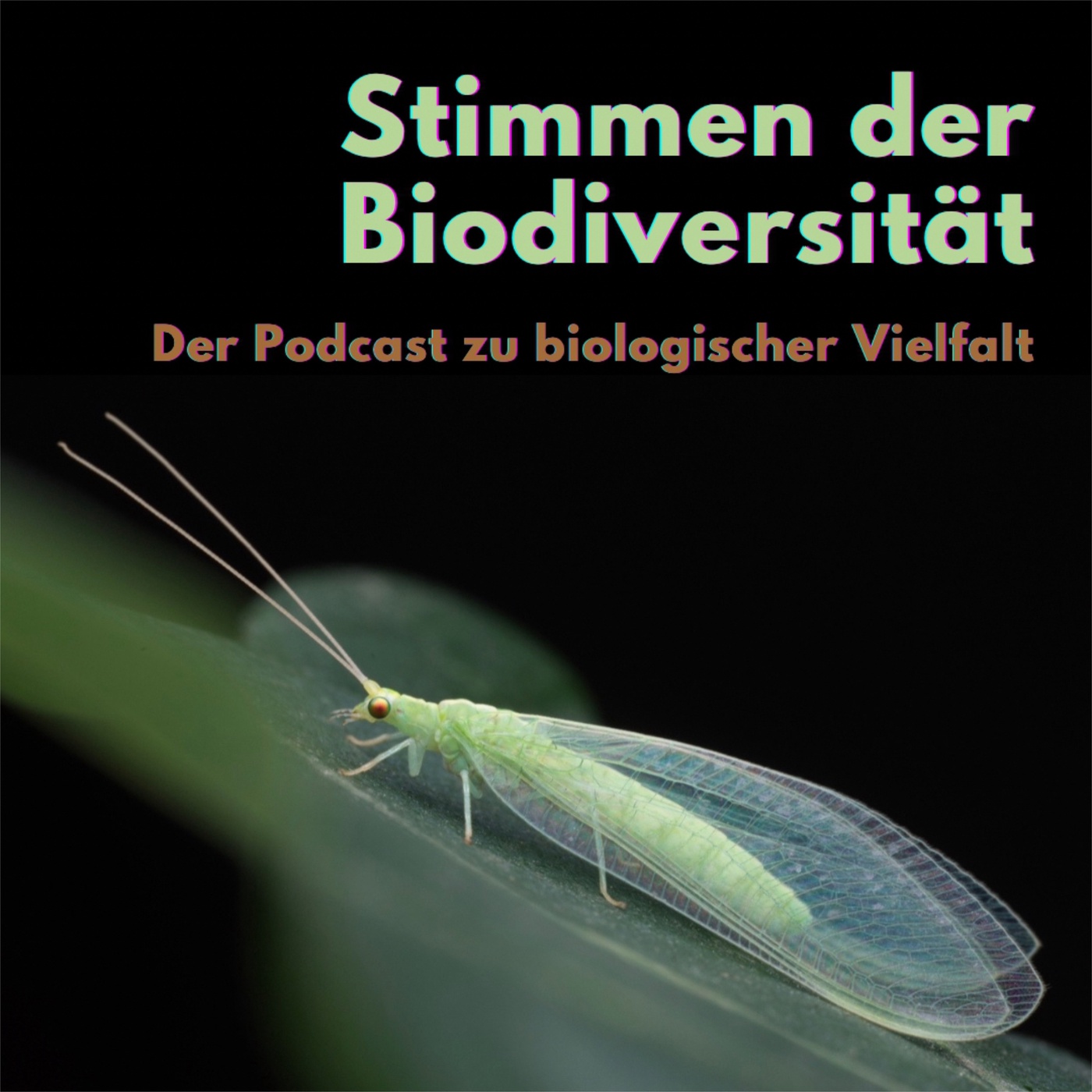 Stimmen der Biodiversität - Der Podcast zu biologischer Vielfalt