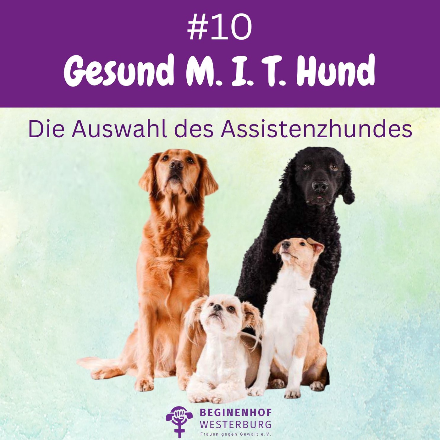 #10 Gesund MIT Hund - Auswahl des Assistenzhundes