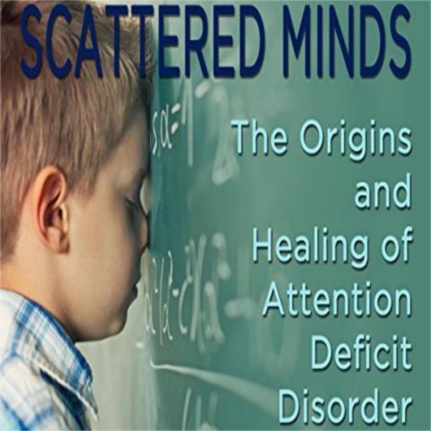 The Book Scattered Minds: A Summary and Overview