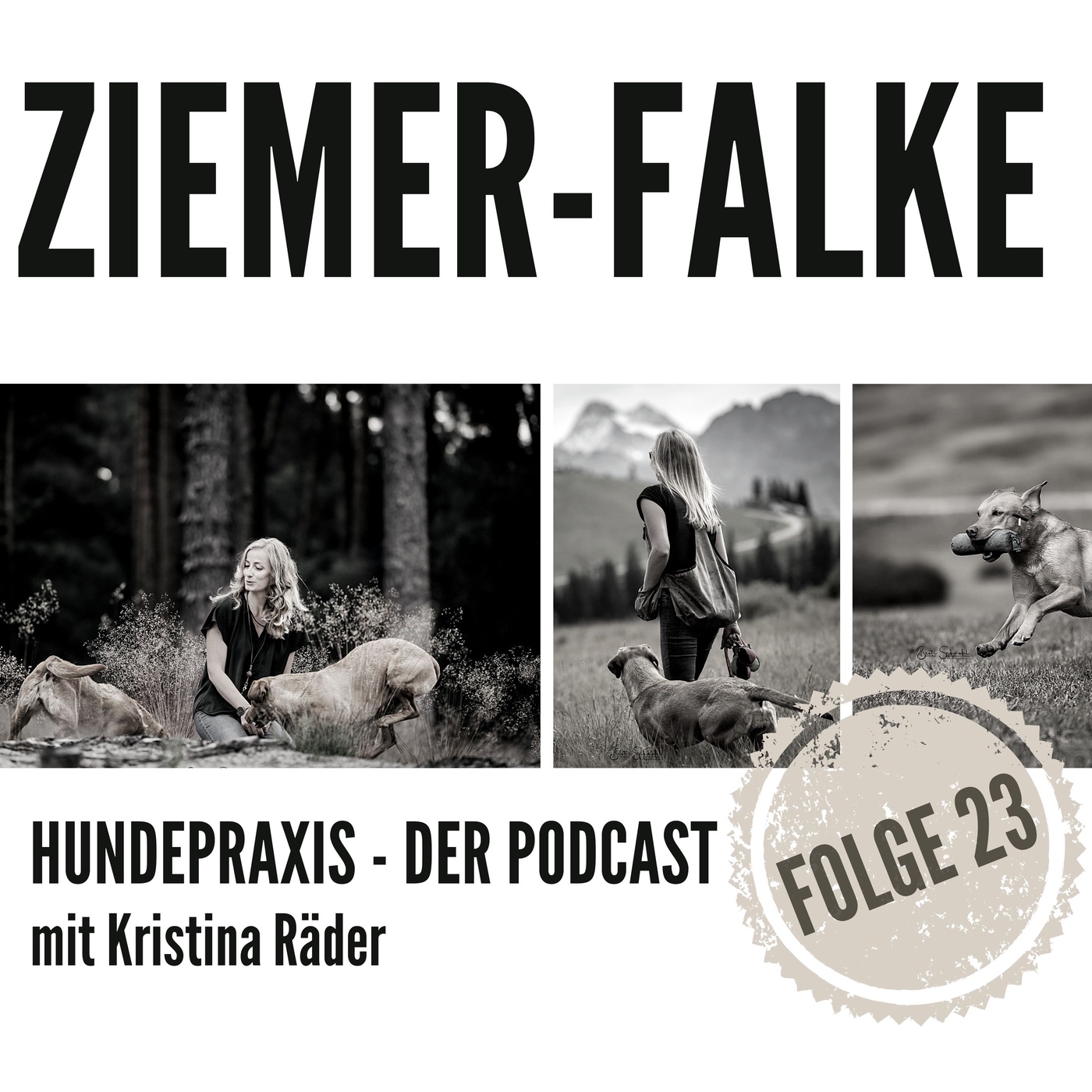 Wenn eine Seminarvertretung zum Hundeunternehmen wird - Kristina Ziemer-Falke