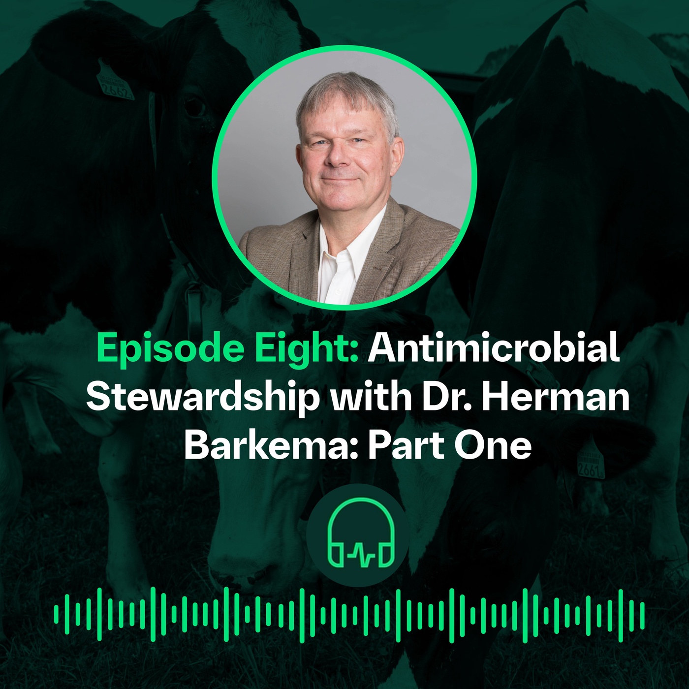 Antimicrobial Stewardship with Dr. Herman Barkema - P1 || L’antibiogouvernance en compagnie du Dr Herman Barkema - P1