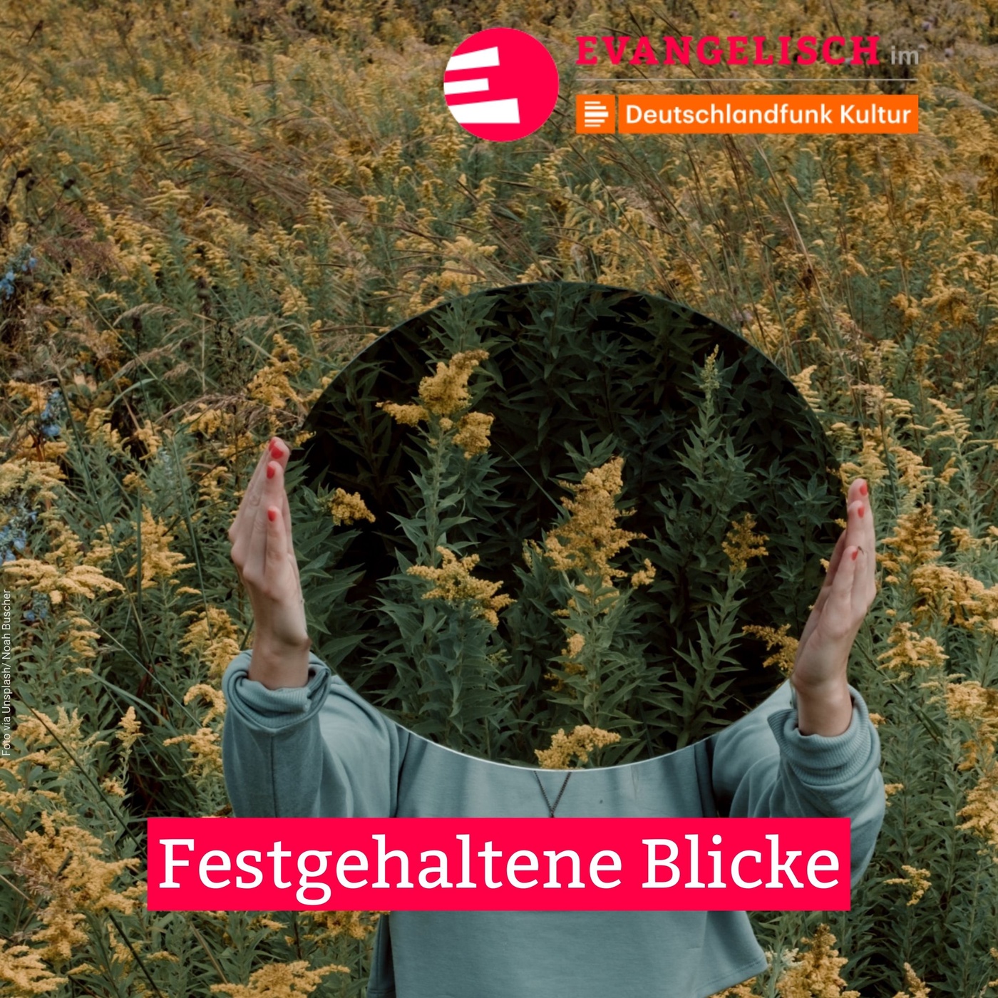 Festgehaltene Blicke
