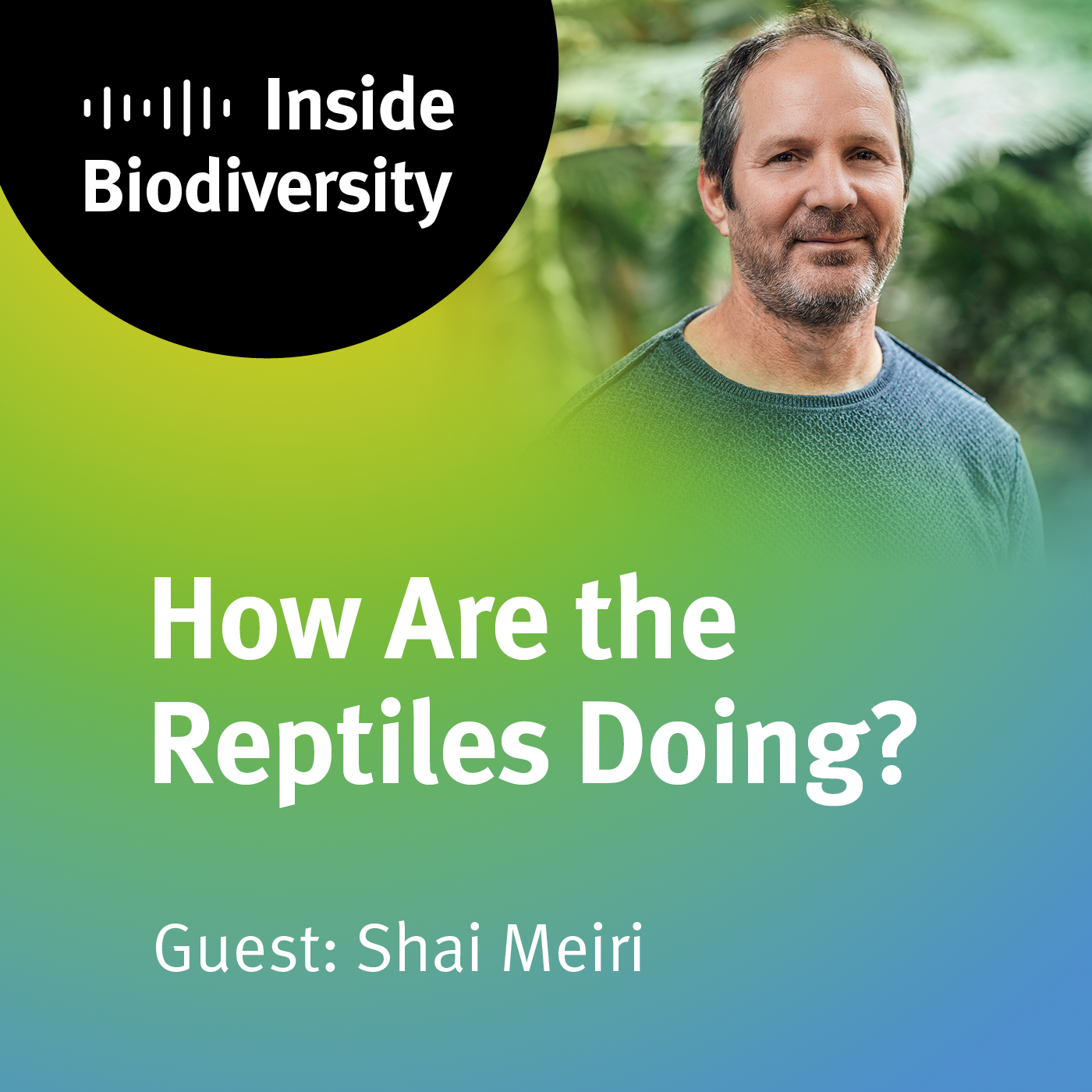 How Are the Reptiles Doing?