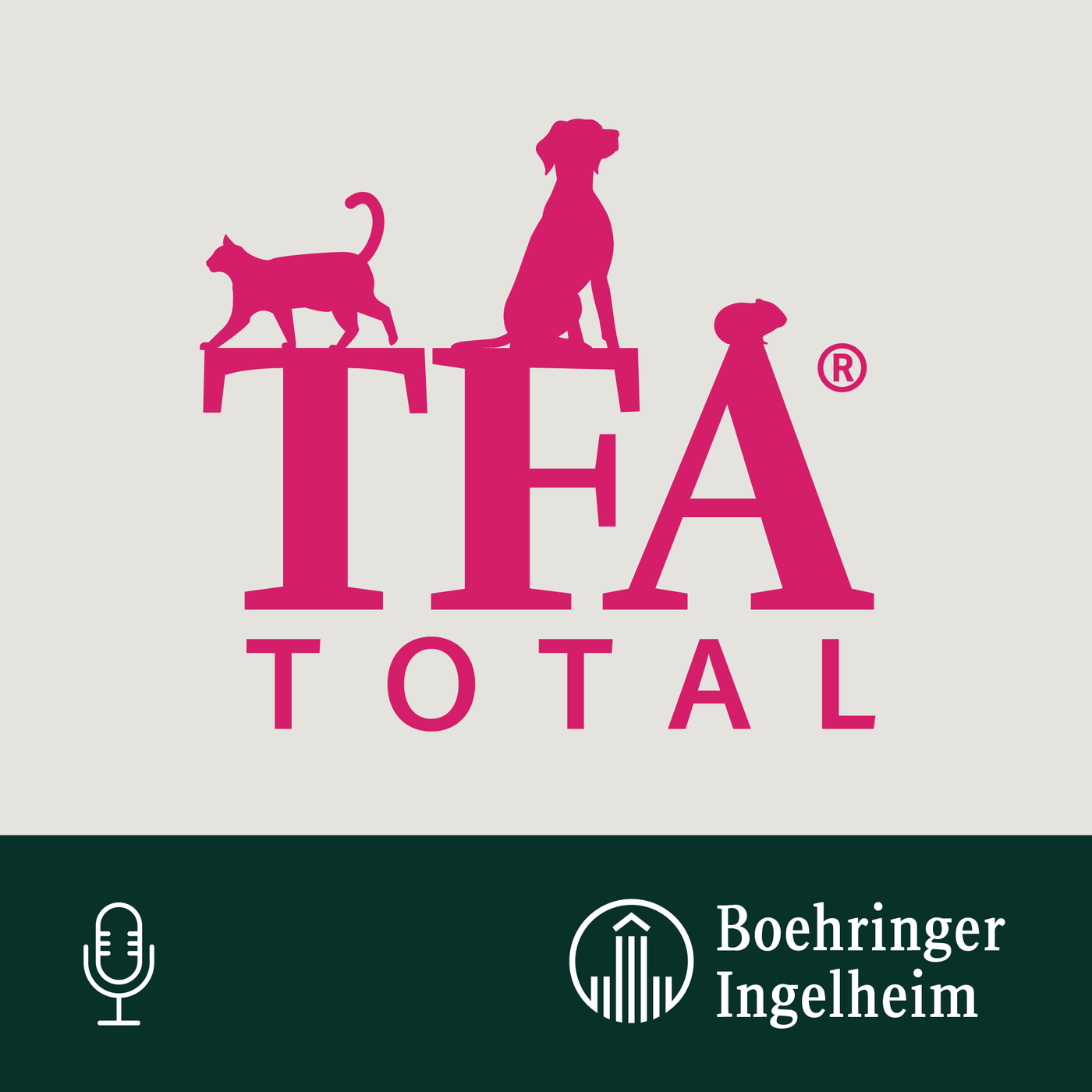 Folge 57 - The walking dead…in the park – Die Parkstudie!