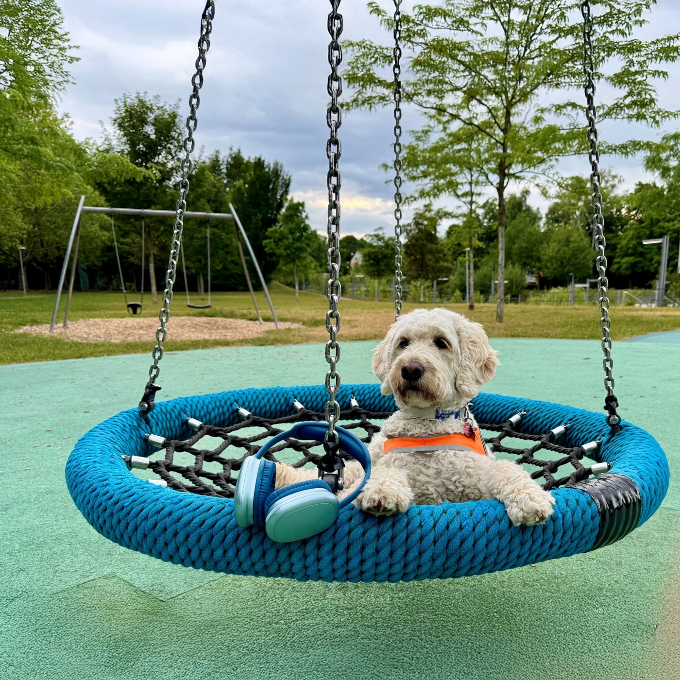 Wie beantrage ich einen Führhund?