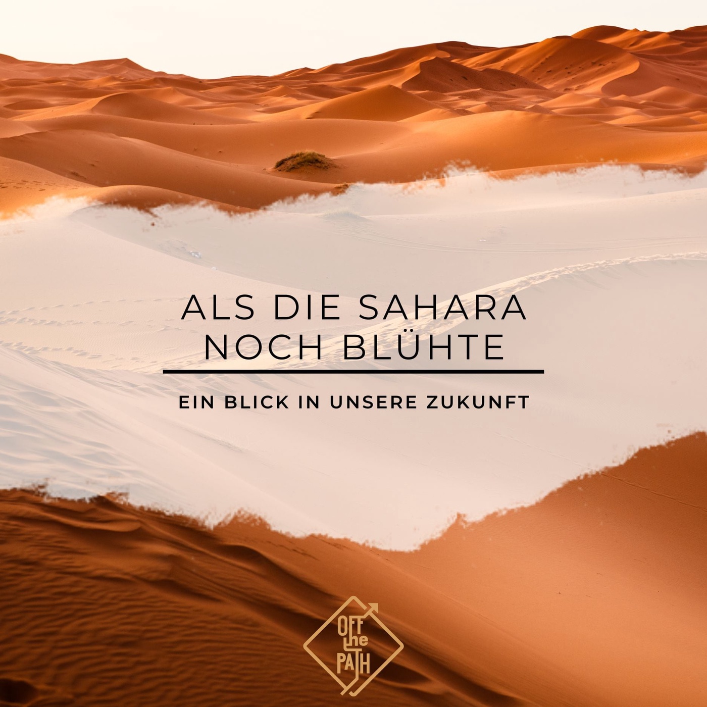 Als die Sahara noch blühte - ein Blick in unsere Zukunft