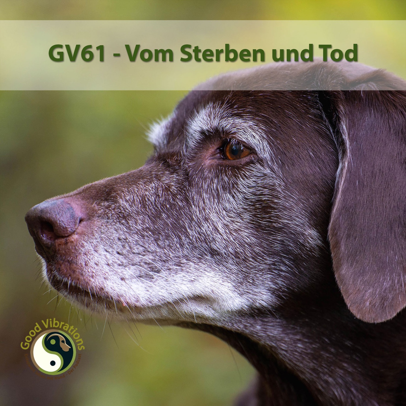 GV 61_Sterben und Tod