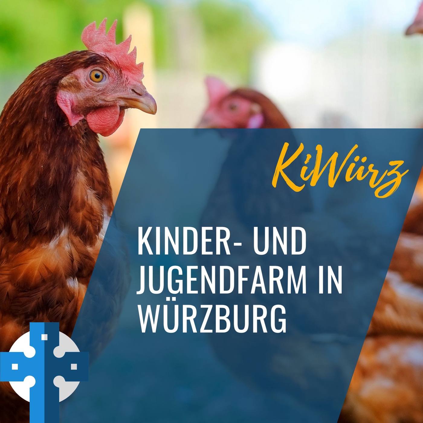 Kinder- und Jugendfarm in Würzburg