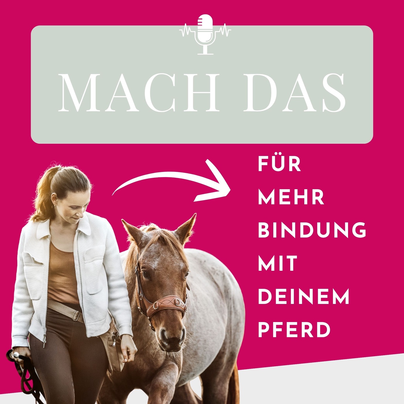 Was, wenn dein Pferd DICH trainiert – und nicht umgekehrt?