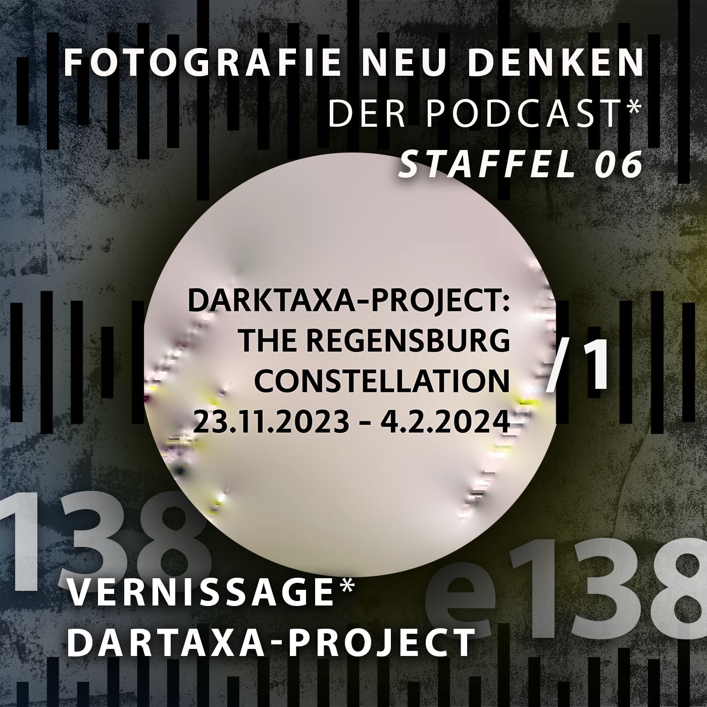 e138 »darktaxa-project: the Regensburg constellation. Teil 1«