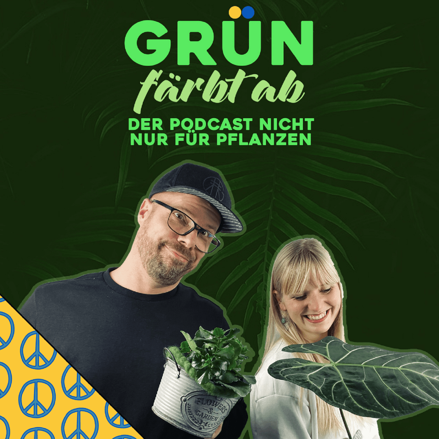 #9 Calathea - Die Pflanze aus der Hölle?