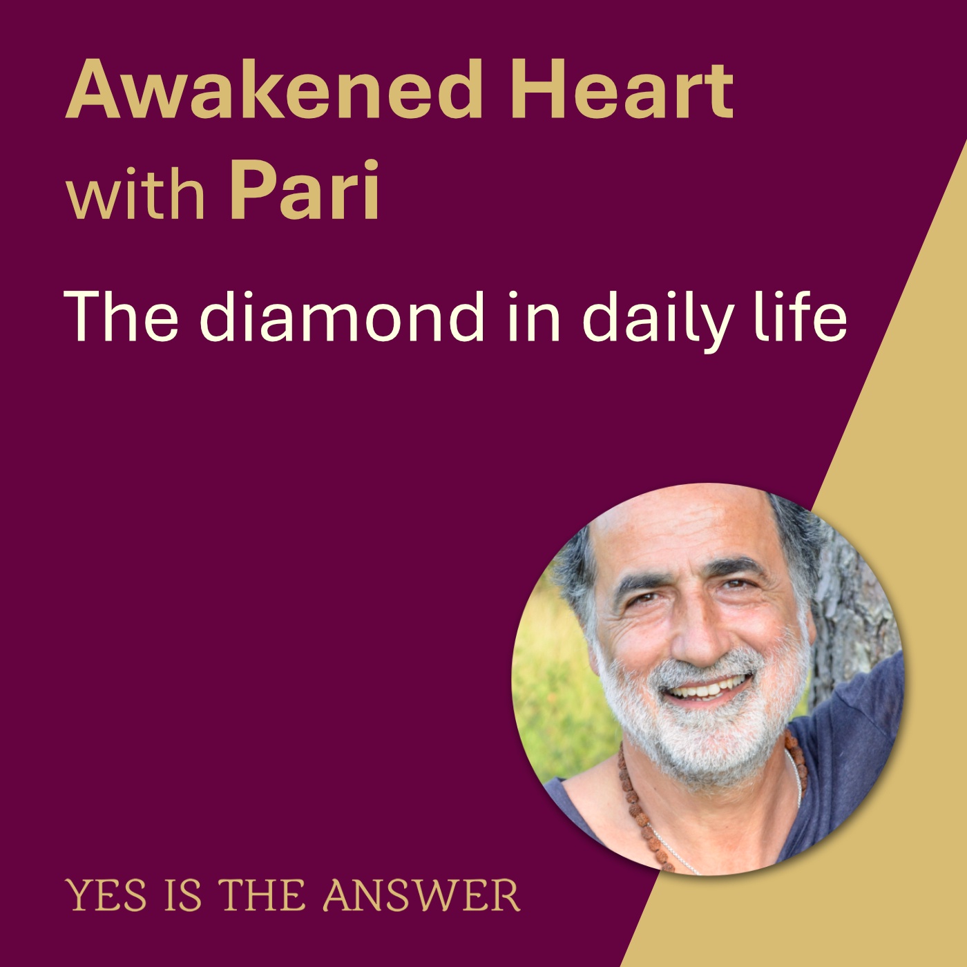 The diamond in daily life 