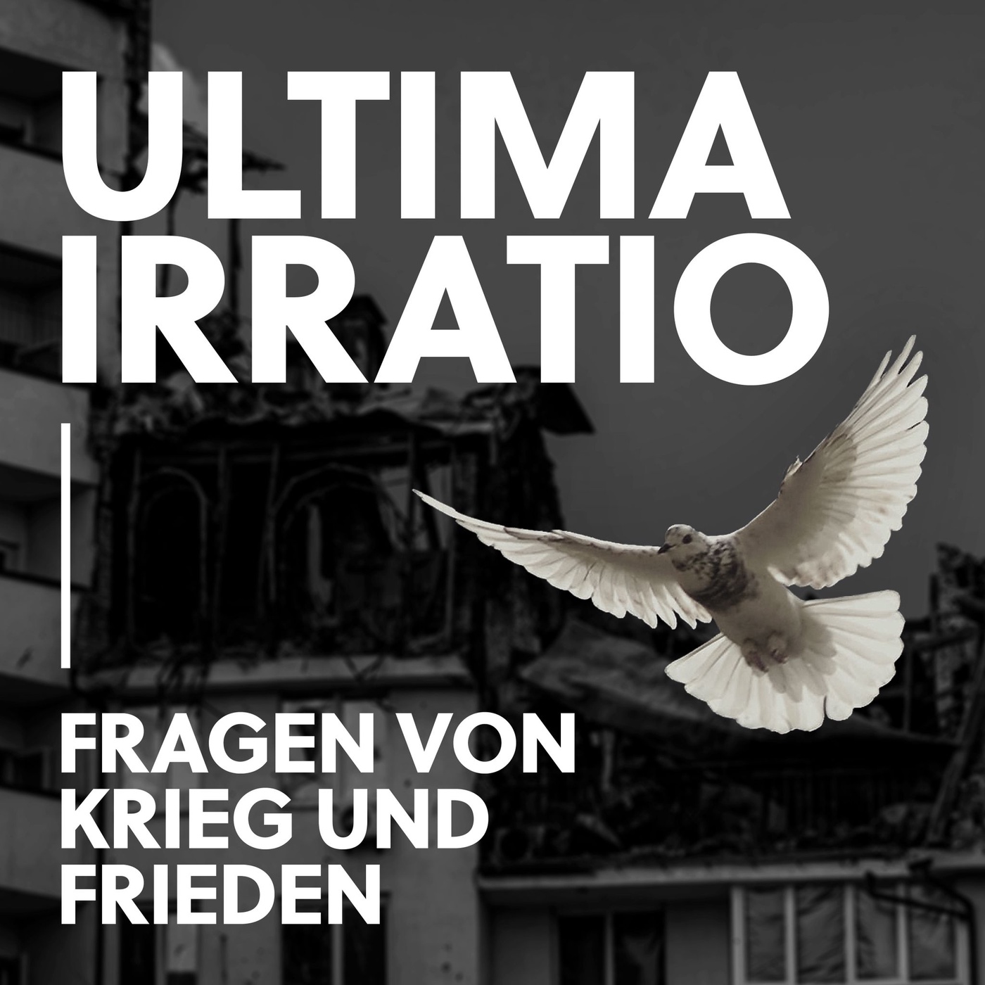 Ultima Irratio - Fragen von Krieg und Frieden