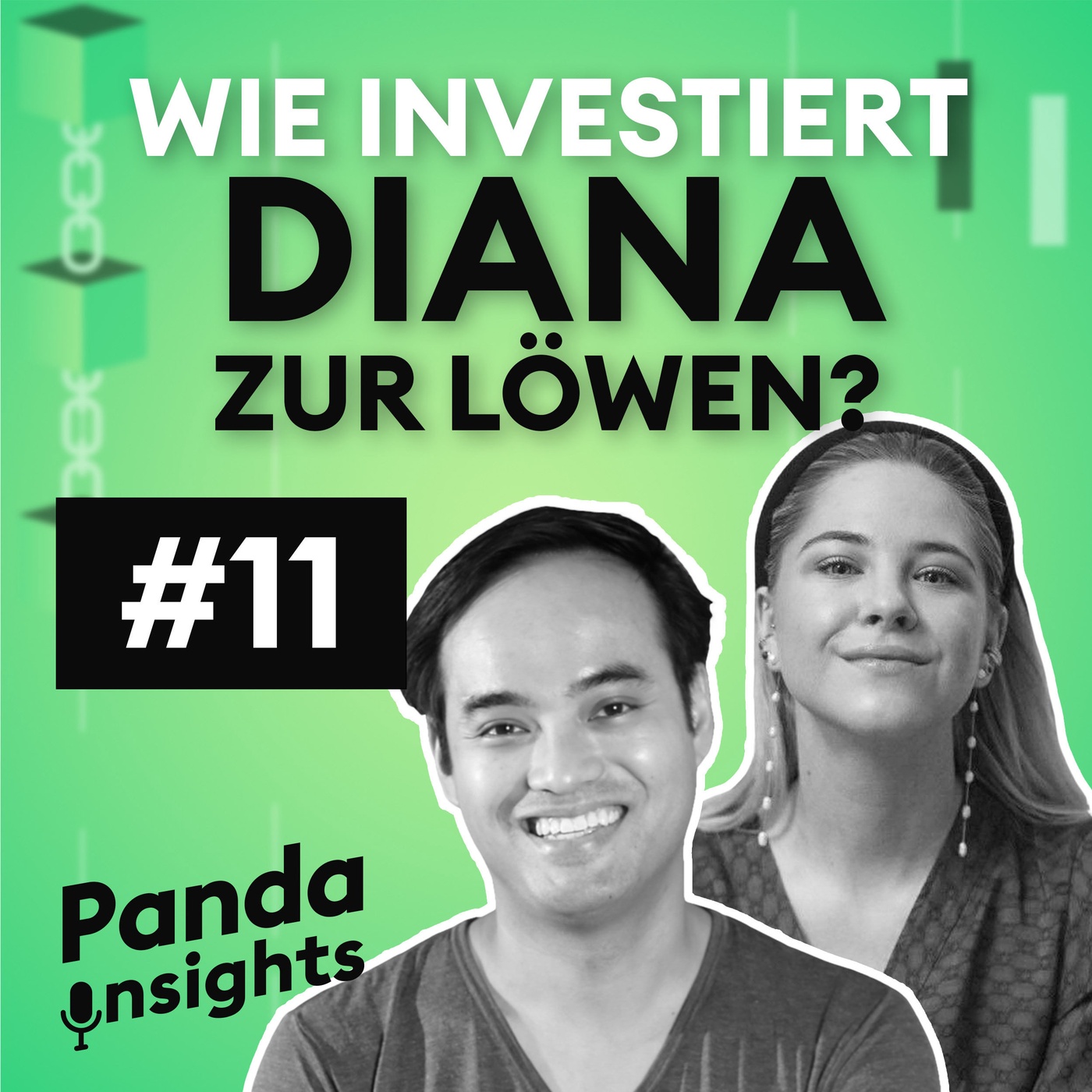 Wie investiert Diana zur Löwen?