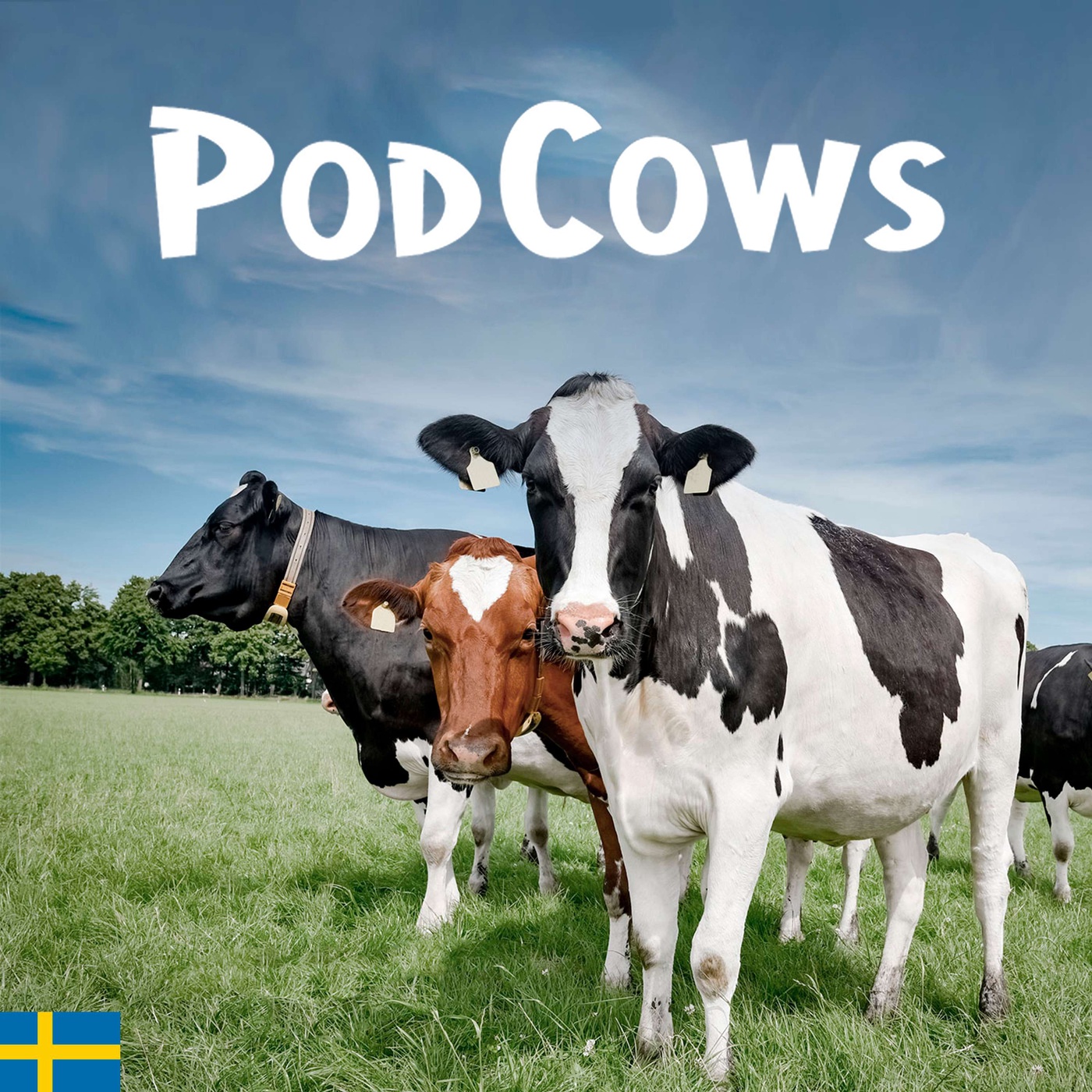Lär dig mer om immunförsvaret del 2, så fungerar immunförsvaret